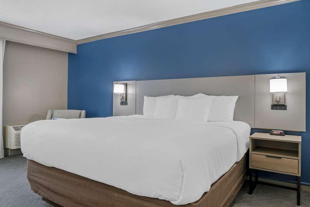 Comfort Inn Plainwell Rum bild
